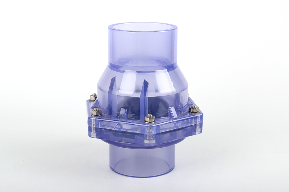 中站透明翻板式止回阀